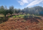 Vil·la amb terreny en venda a Castelló de la Plana ref.: TR11504 foto