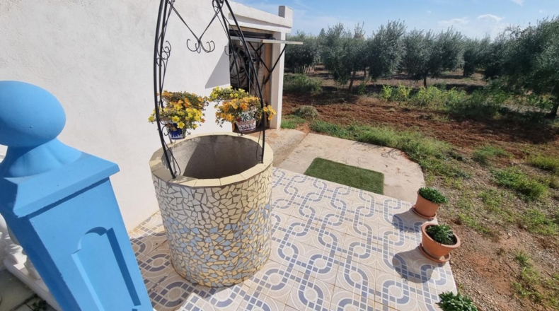 Castellón - Castelló de la Plana - 3500m2