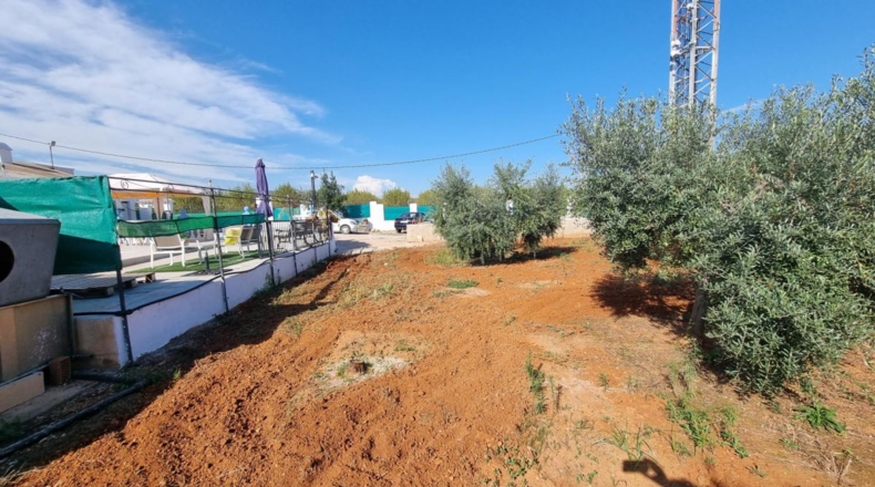 Castellón - Castelló de la Plana - 3500m2