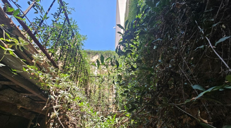 Castellón - Castellón de la Plana - 172m2
