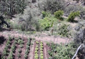 Finca rústica en venda a Màlaga ref.: TR70490 foto
