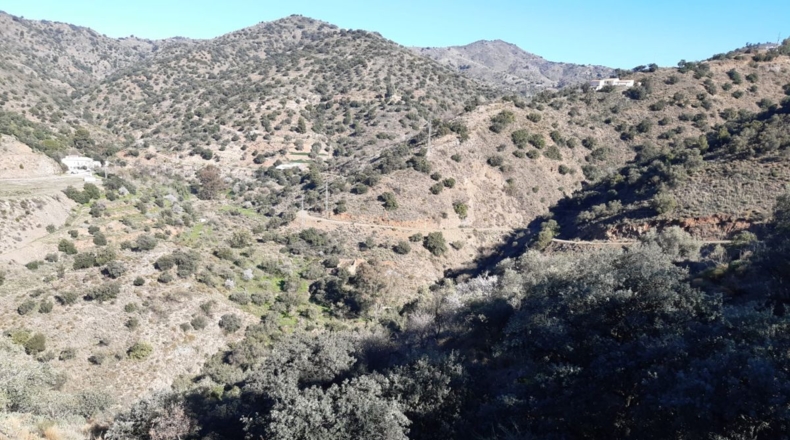 Málaga - Málaga - 13079m2