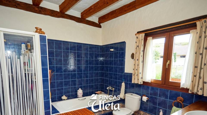 Alava - Villarreal de Álava - 47000m2
