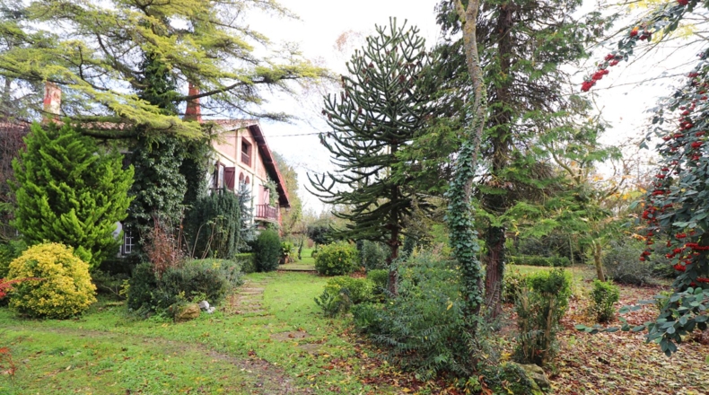 Álava - Gamarra Mayor - 10000m2