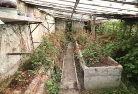 Foto 15