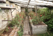 Chalet independiente con terreno en venta en Vitoria ref: TR204064 foto