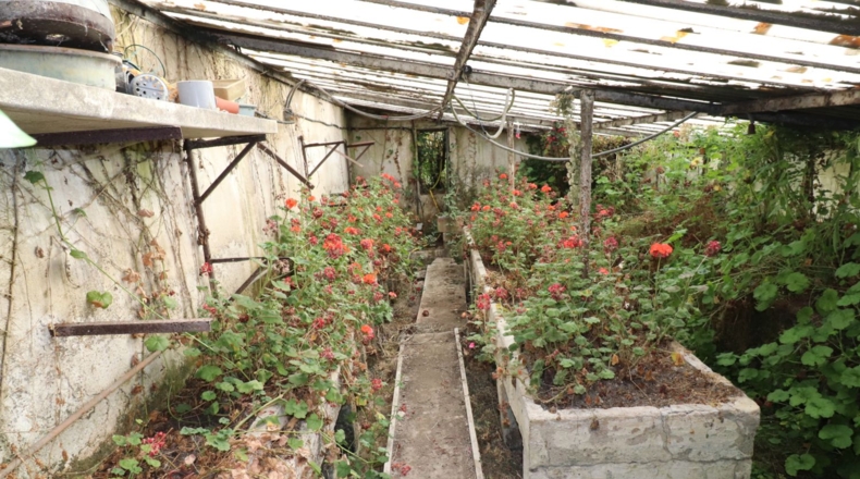 Álava - Gamarra Mayor - 10000m2