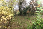 Chalet independiente con terreno en venta en Vitoria ref: TR204064 foto