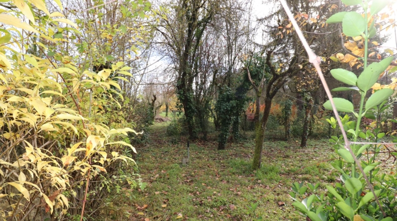 Álava - Gamarra Mayor - 10000m2