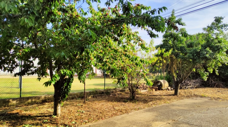 Álava - Zambrana - 2100m2