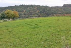 Silleda 11000&nbsp;m² 