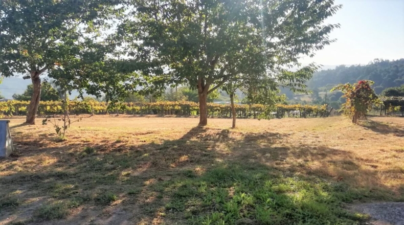 Pontevedra - O Curro - 11000m2