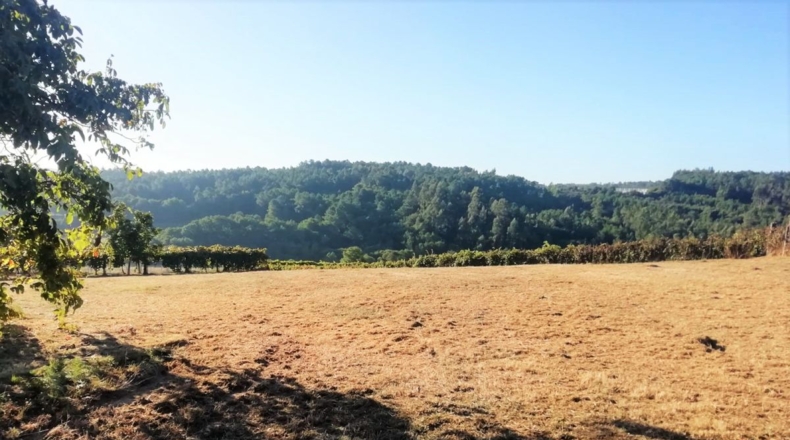 Pontevedra - O Curro - 11000m2