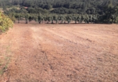 Finca rústica en venda a Silleda ref.: TR80674 foto