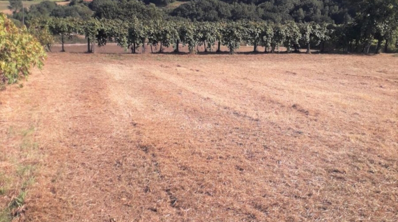 Pontevedra - O Curro - 11000m2