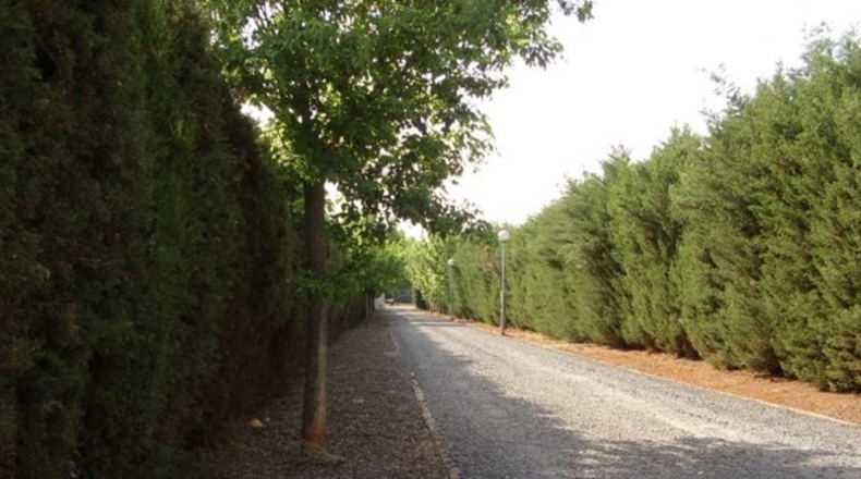 Ciudad Real - Ciudad Real - 300m2