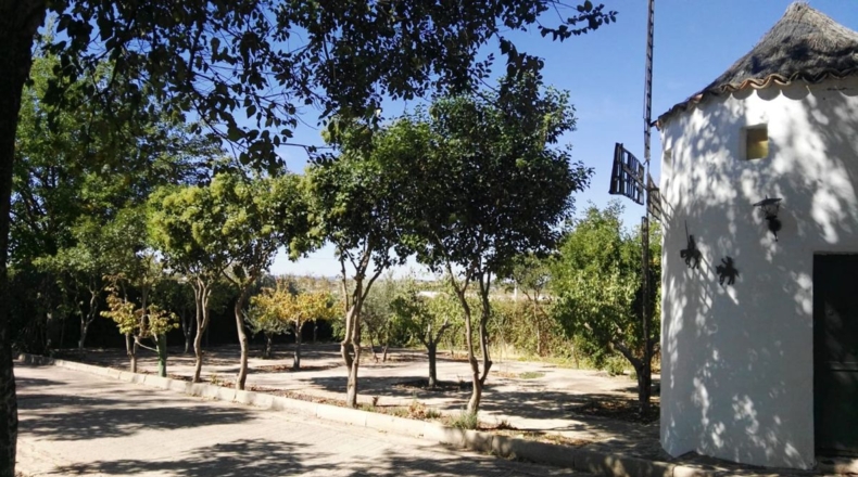 Ciudad Real - Pozuelo de Calatrava - 2165m2