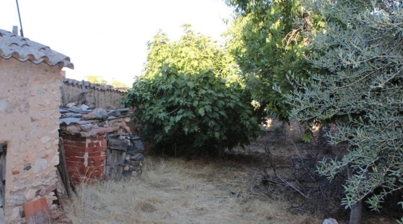 Ciudad Real - Aldea del Rey - 1000m2