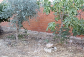 Foto 16