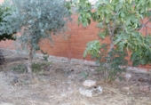 Xalet adossat amb terreny en venda a Aldea del Rey ref.: TR51738 foto