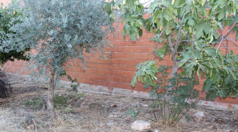 Ciudad Real - Aldea del Rey - 1000m2