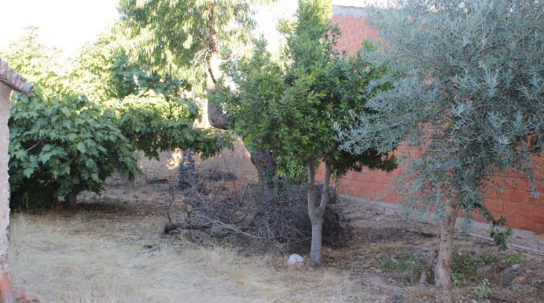 Ciudad Real - Aldea del Rey - 1000m2