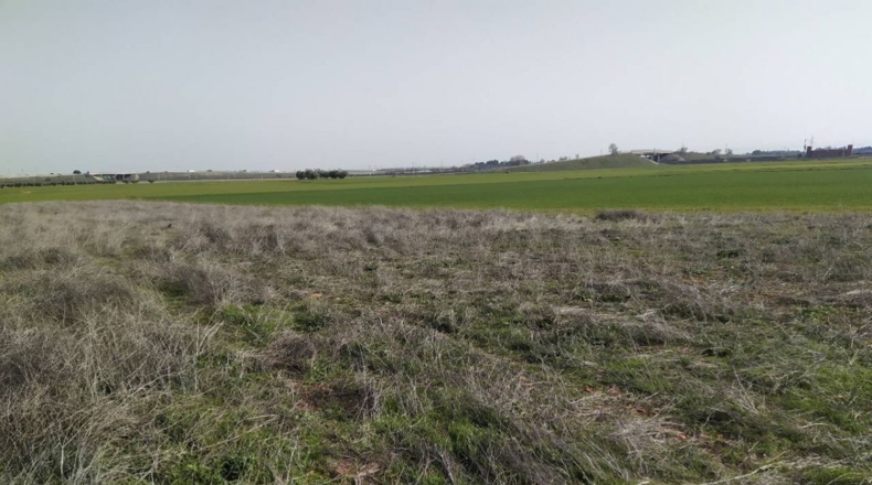 Ciudad Real - Ciudad Real - 15000m2