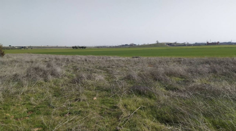 Ciudad Real - Ciudad Real - 15000m2