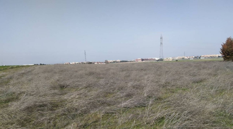 Ciudad Real - Ciudad Real - 15000m2
