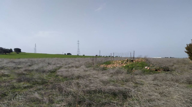 Ciudad Real - Ciudad Real - 15000m2
