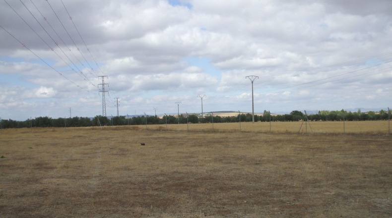 Ciudad Real - Ciudad Real - 4000m2