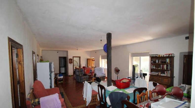 Ciudad Real - Piedrabuena - 4000m2
