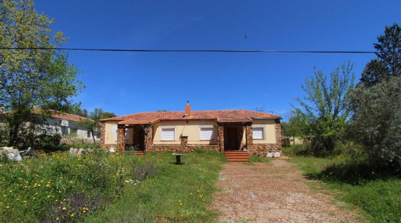 Ciudad Real - Piedrabuena - 4000m2