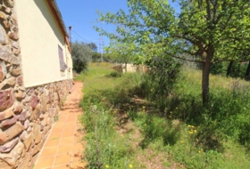 Piedrabuena 4000&nbsp;m² 