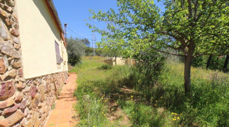 Ciudad Real - Piedrabuena - 4000m2