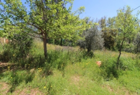 Piedrabuena 4000&nbsp;m² 