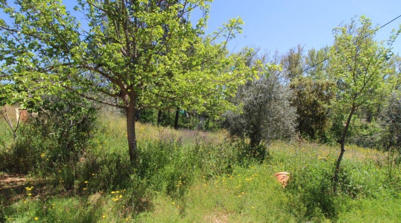 Ciudad Real - Piedrabuena - 4000m2