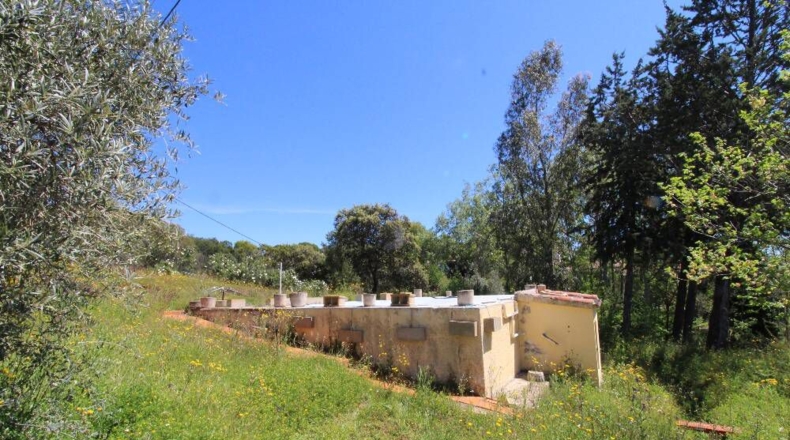 Ciudad Real - Piedrabuena - 4000m2