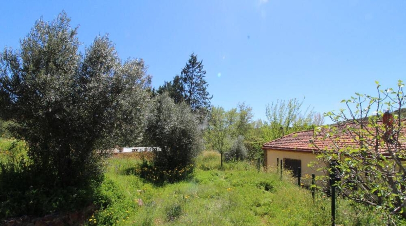 Ciudad Real - Piedrabuena - 4000m2