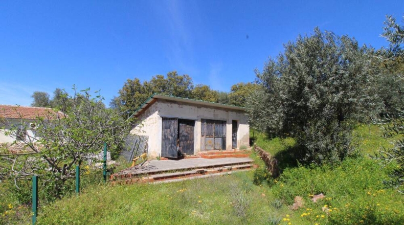 Ciudad Real - Piedrabuena - 4000m2