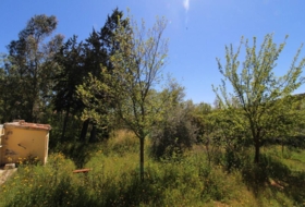 Piedrabuena 4000&nbsp;m² 