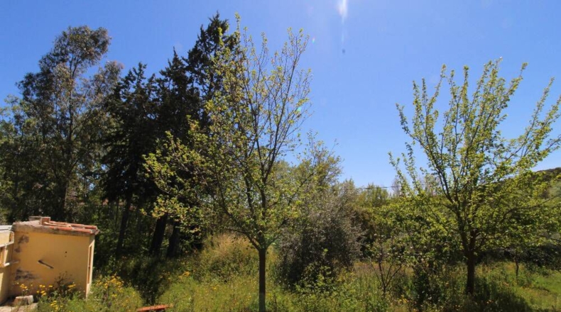 Ciudad Real - Piedrabuena - 4000m2