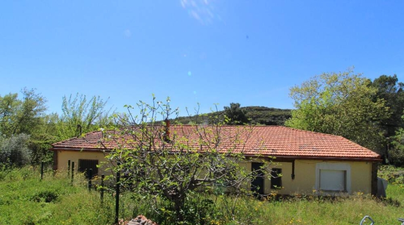 Ciudad Real - Piedrabuena - 4000m2