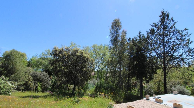 Ciudad Real - Piedrabuena - 4000m2