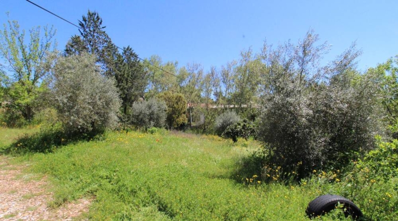 Ciudad Real - Piedrabuena - 4000m2