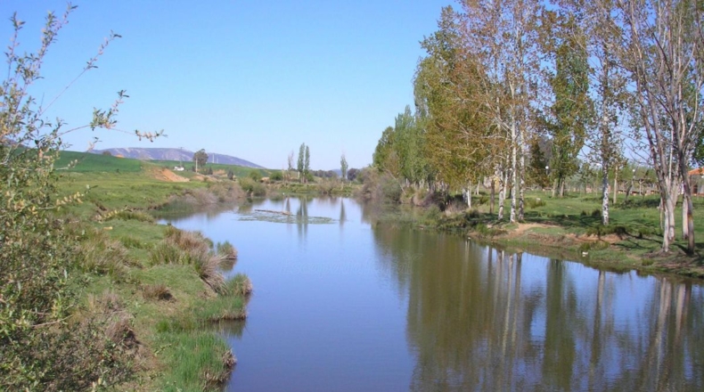 Ciudad Real - Las Betetas - 1300m2