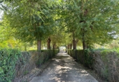 Xalet independent amb terreny en venda a Alcolea de Calatrava ref.: TR182822 foto
