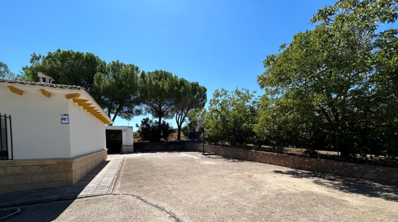 Ciudad Real - Alcolea de Calatrava - 8700m2