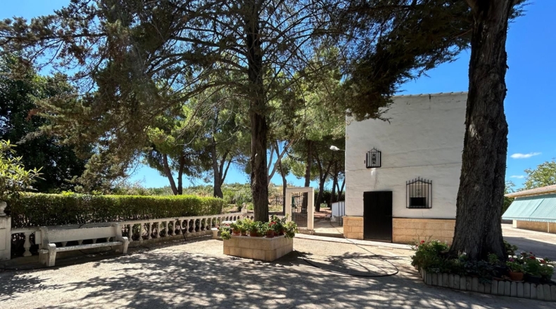 Ciudad Real - Alcolea de Calatrava - 8700m2