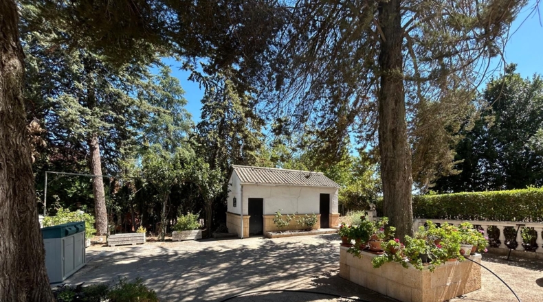 Ciudad Real - Alcolea de Calatrava - 8700m2